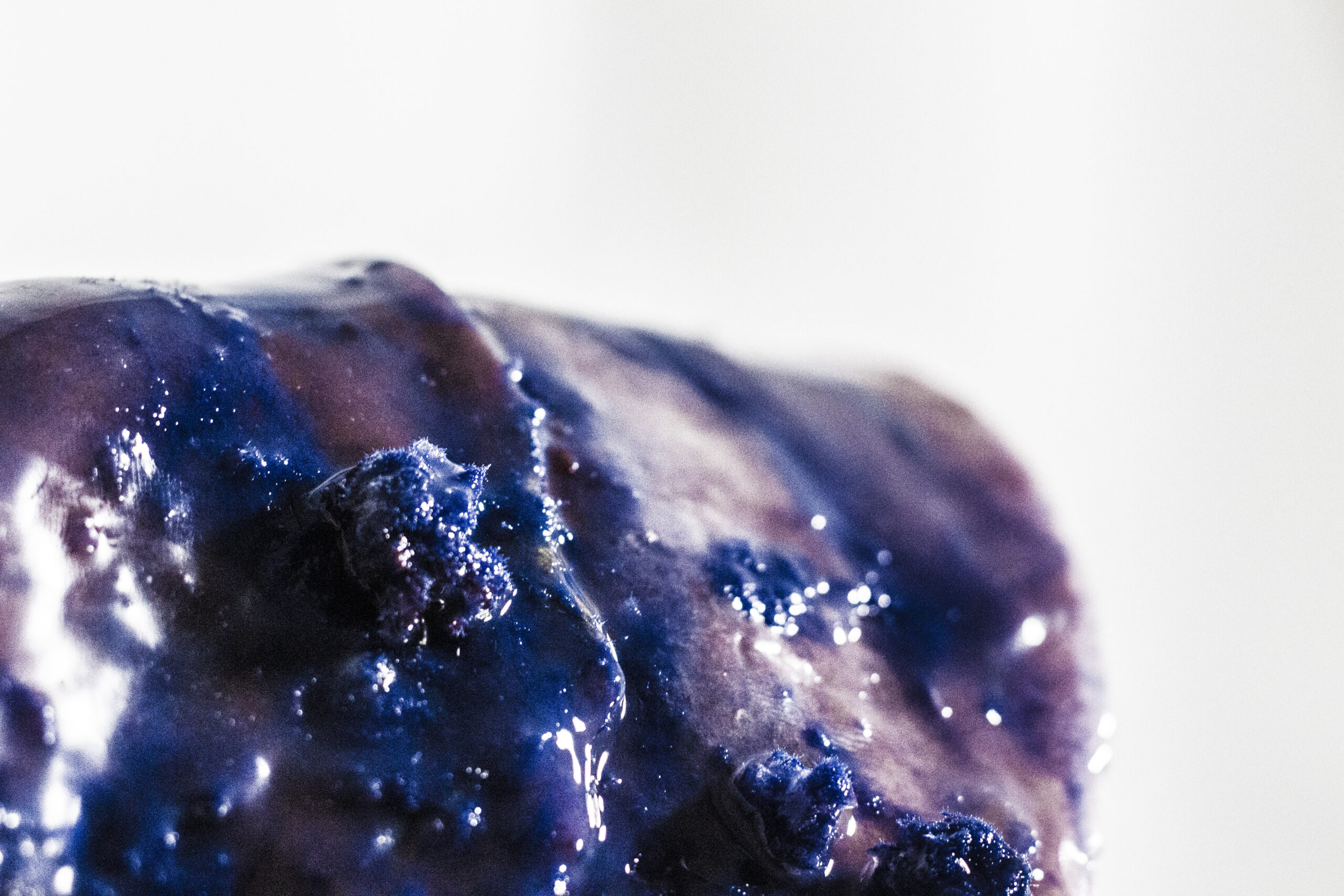 4.microplasticsxliver2