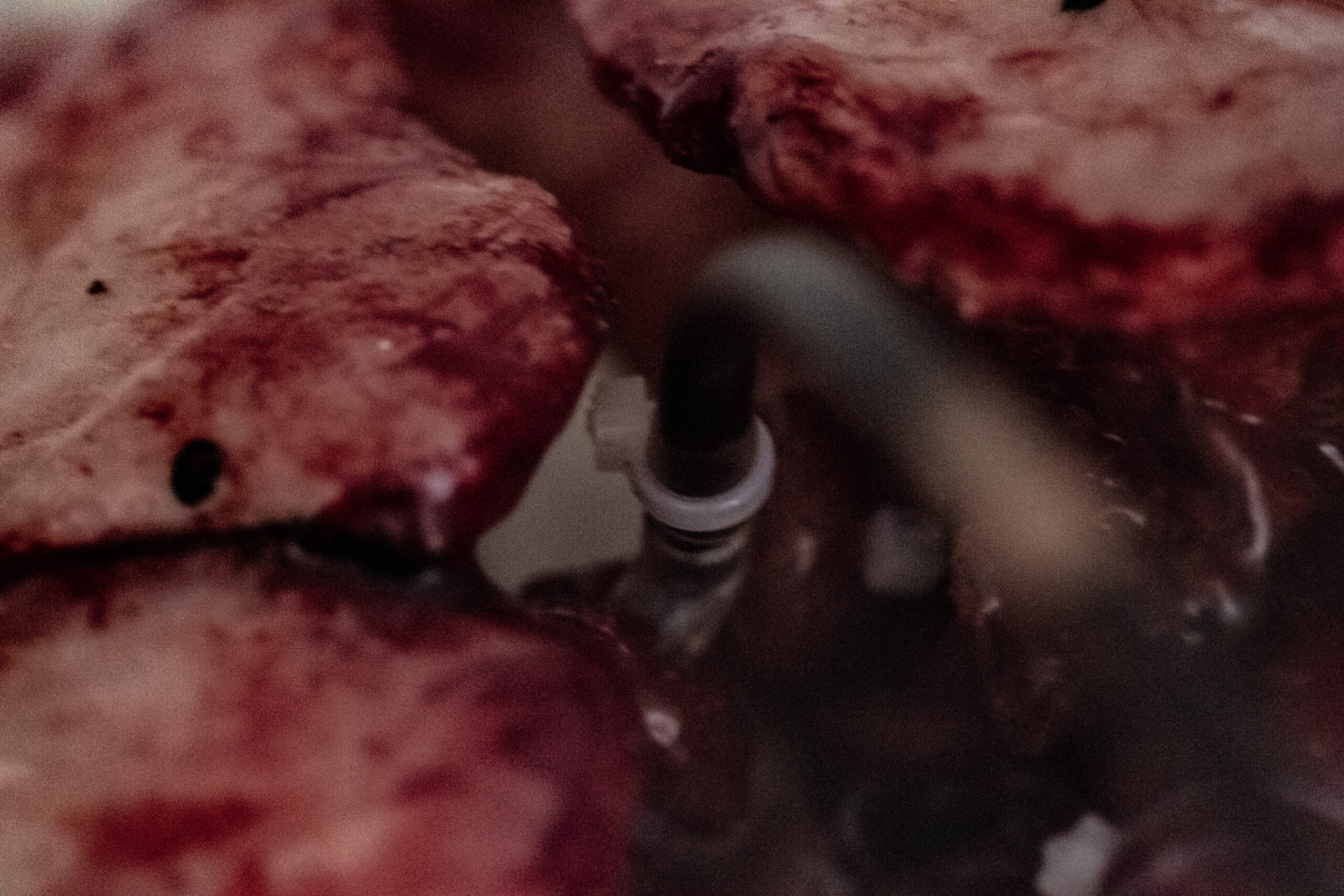 lungs4